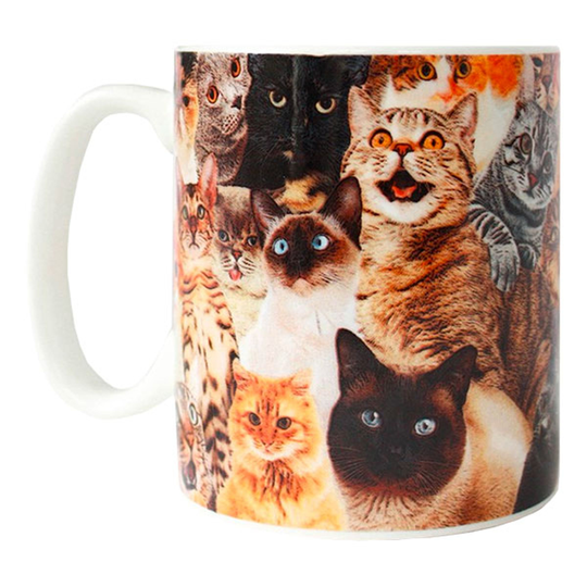 Crazy Cat Lady Muki